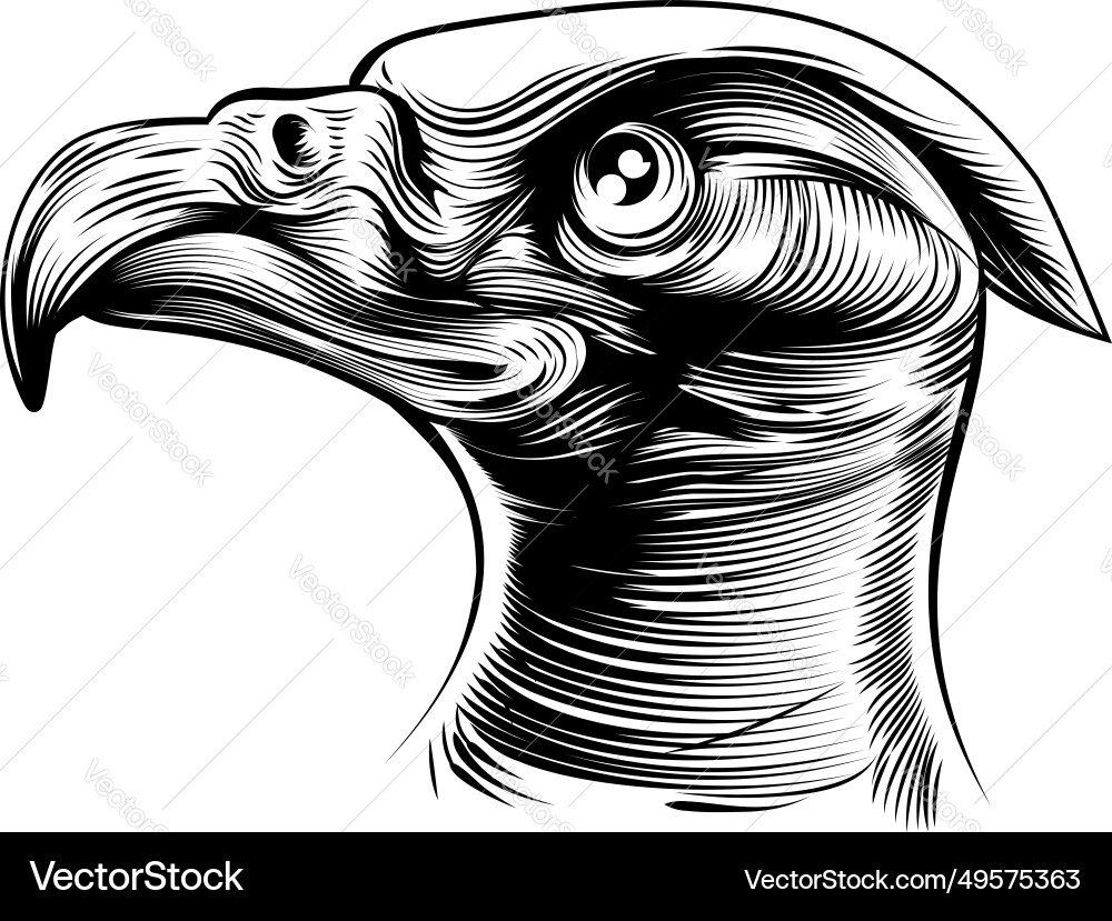 Woodblck Adlerkopf Woodblck Adlerkopf vektorbild