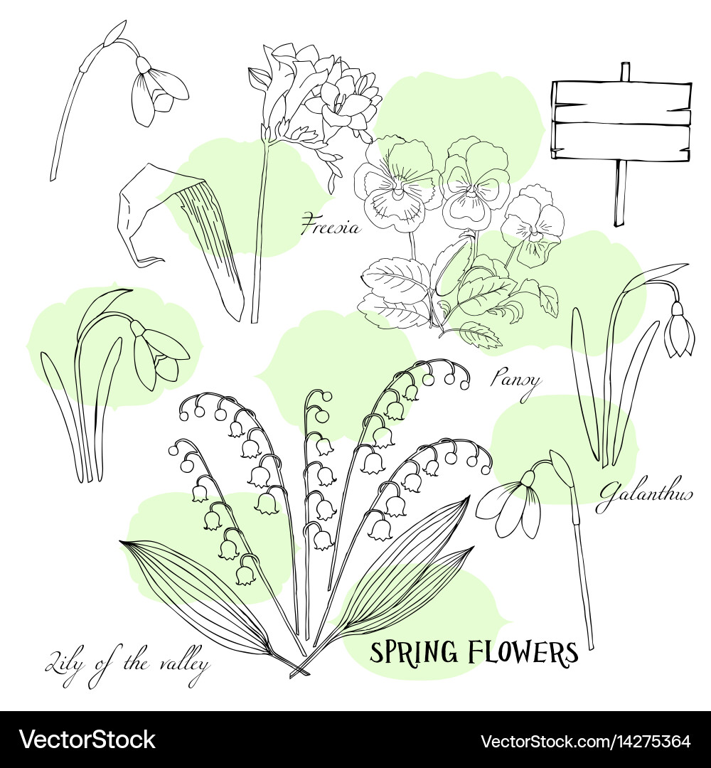 Background with snowdrops vector image