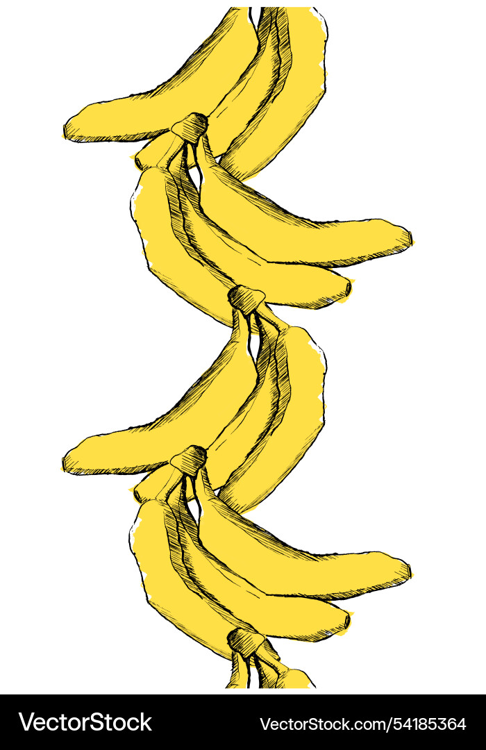 Banana seamless pattern vertical border Banana seamless pattern vertical border Vector Image