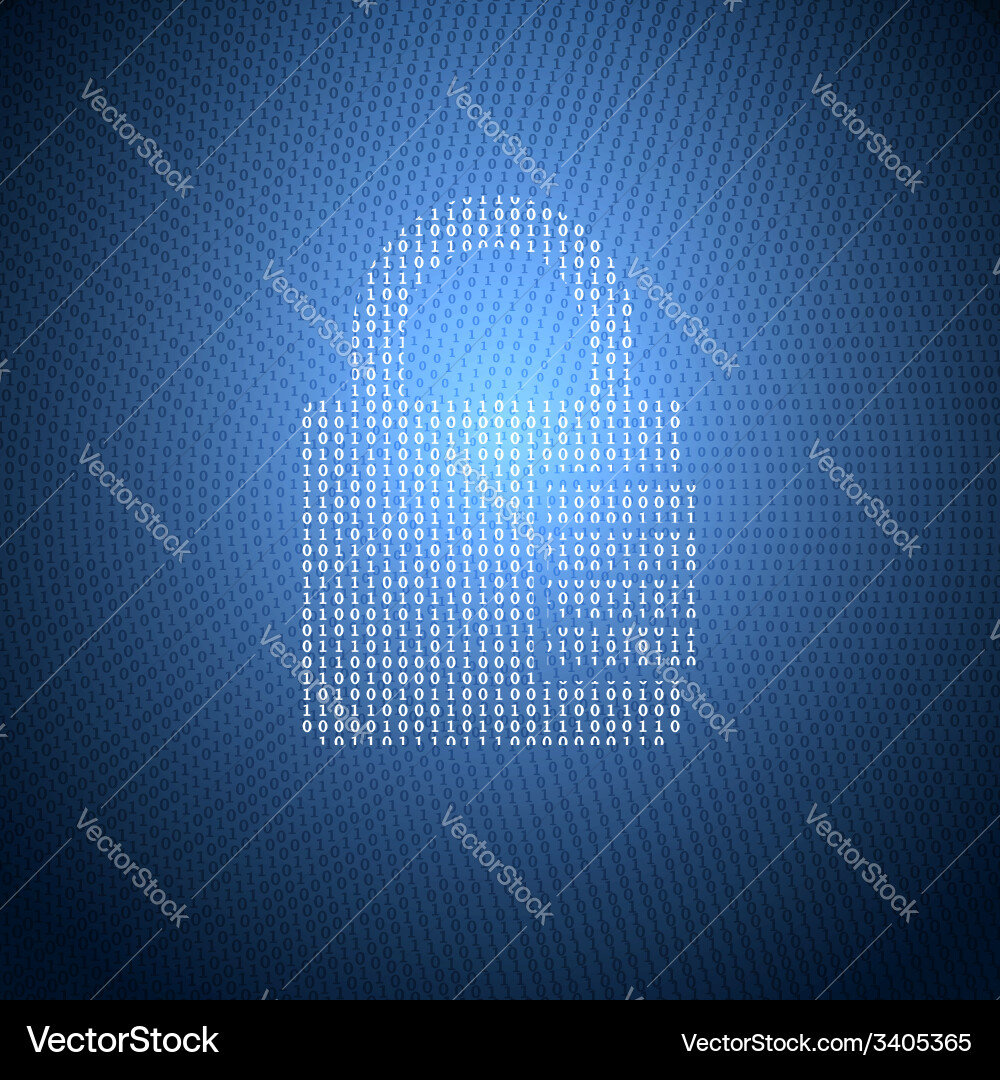Binary Security Code vector image