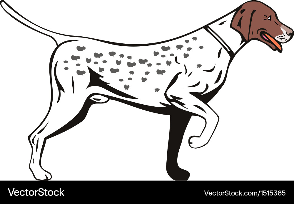 Retro Pointer Dog Side View vector image