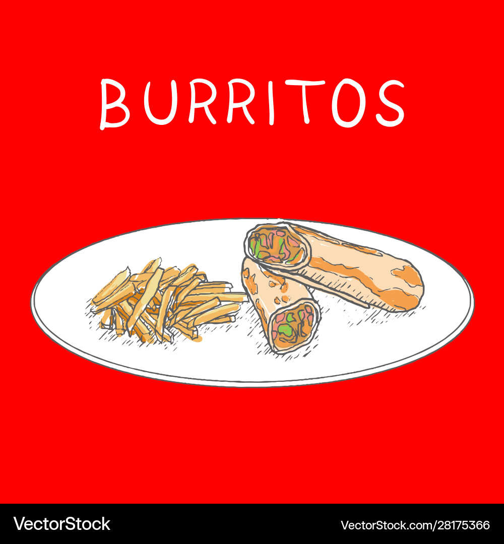 Burritos with fried potatoes hand drawn on white Burritos with fried potatoes hand drawn on white vector image
