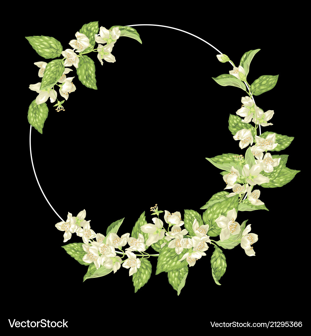 Decor element with jasmine in a shape of ring Vector Image