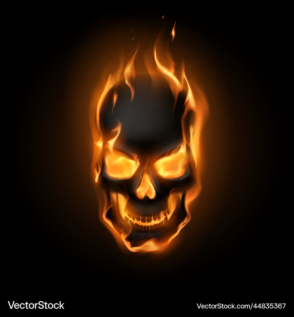 Black skull in fire flames vector image