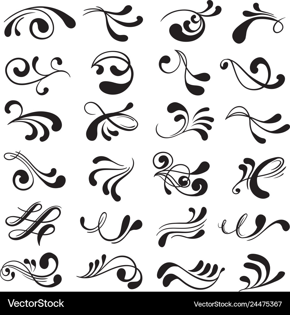 Elegant Black Curl Pattern vector image