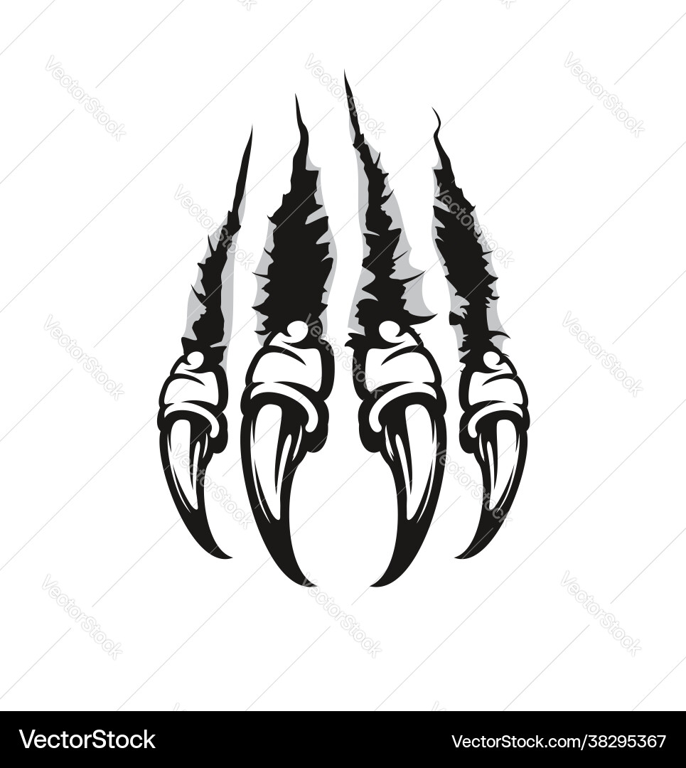 Monster claw beast wild animal or dragon scratch Monster claw beast wild animal or dragon scratch vector image