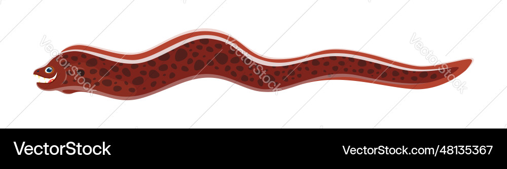 Moray eel character serpentine predatory animal Moray eel character serpentine predatory animal vector image
