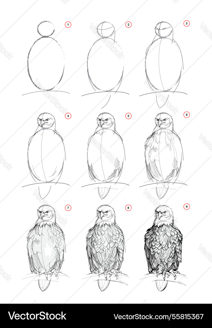 Page shows how to learn draw from life sketch Page shows how to learn draw from life sketch vector image