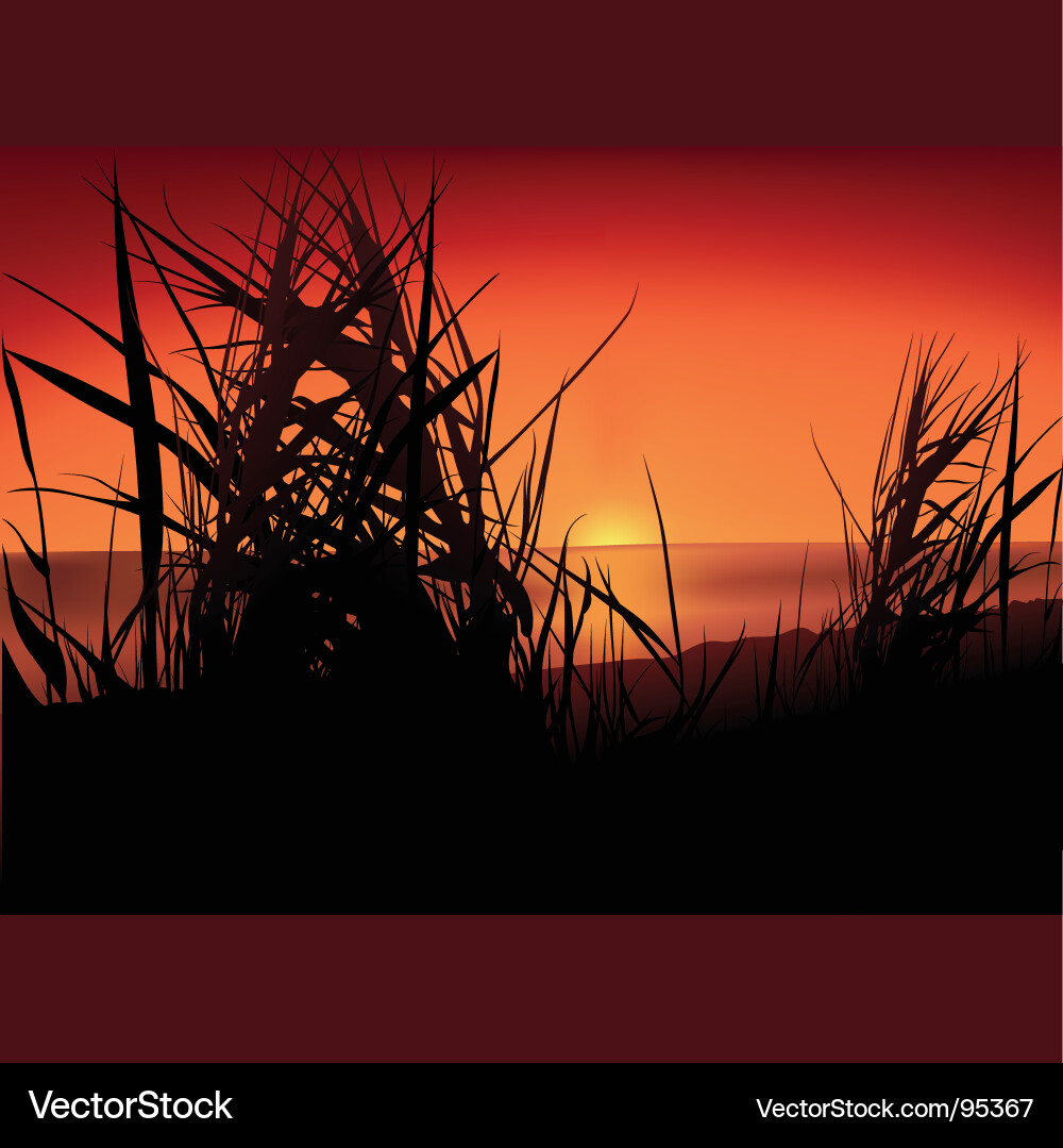 Sunset lake Royalty Free Vector Image - VectorStock