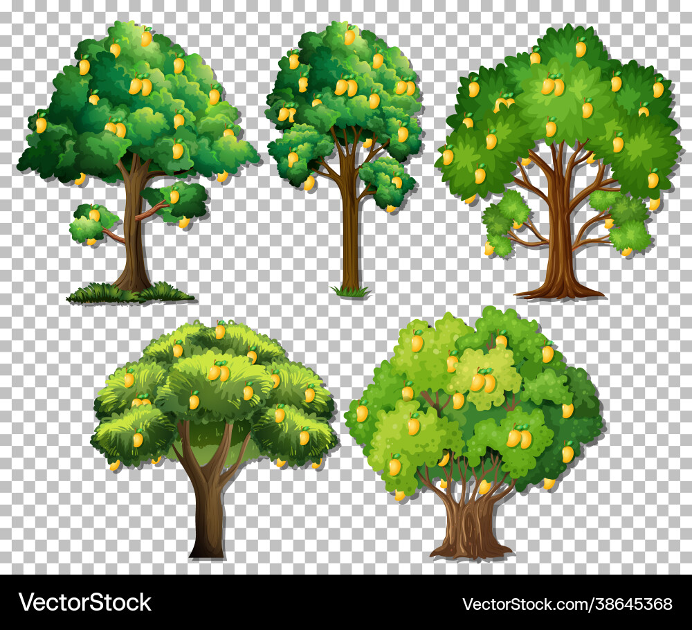 Set different trees on transparent background Set different trees on transparent background vector image