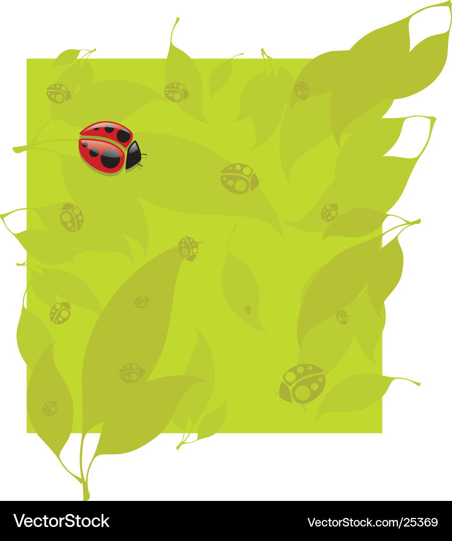Lady bug pattern Vector Image