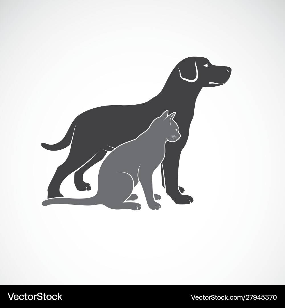 Cute Dog and Cat Silhouette vector image