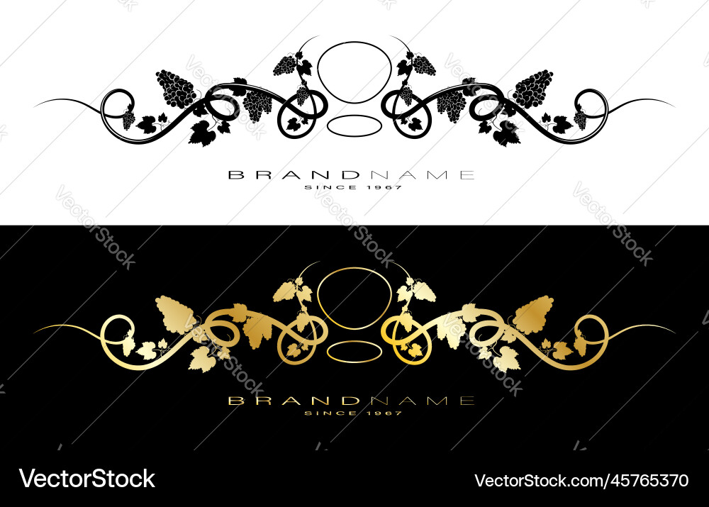 Grapevine scroll header with brand name Vector Image