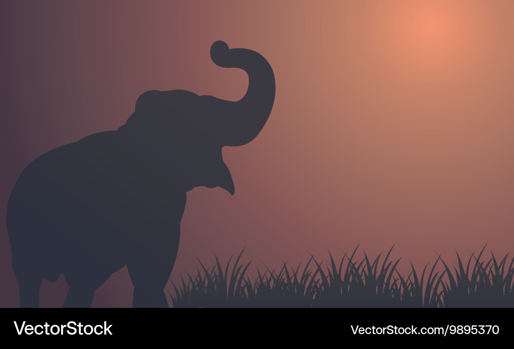 Silhouetted Elephant in Fields Vector Image