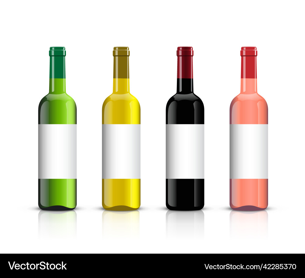Wine bottle set bottles with shadows Vector Image