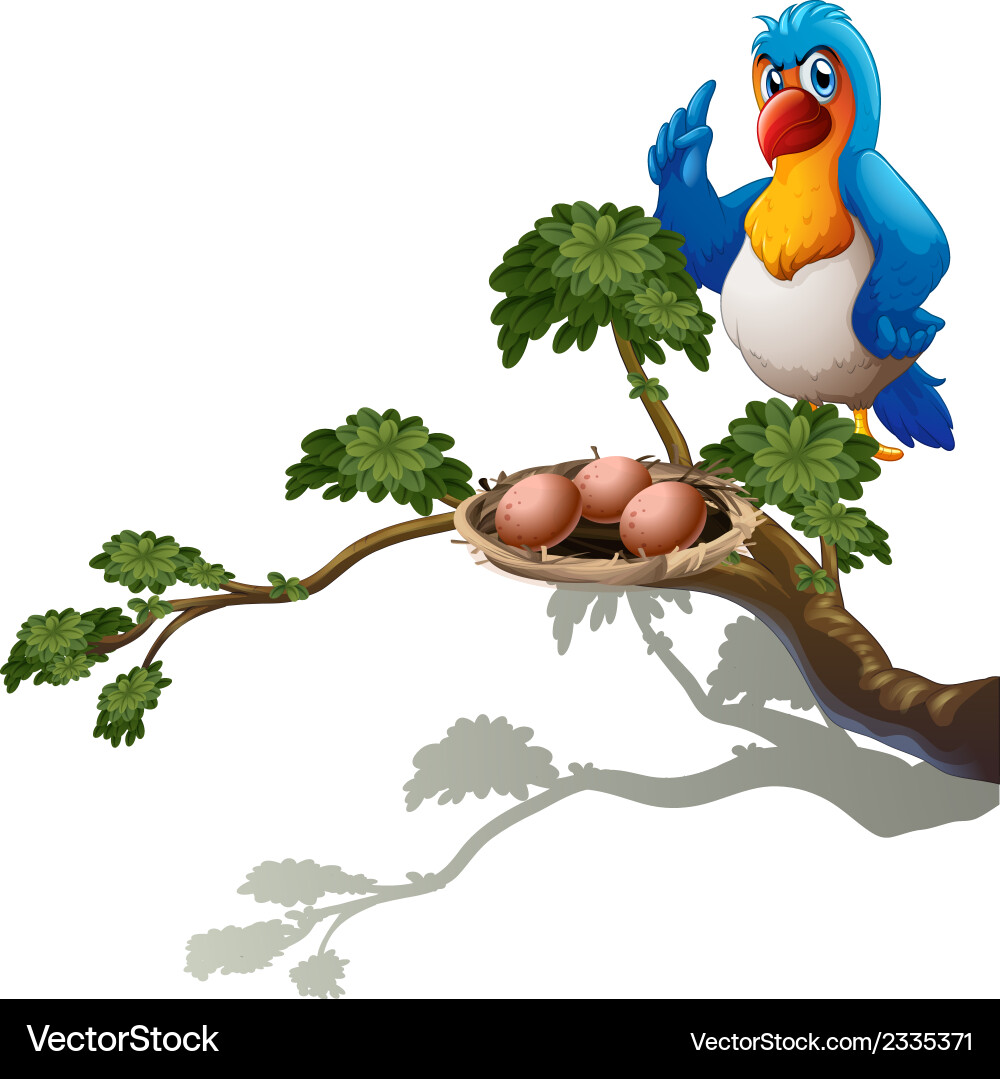 A parrot at the branch of tree with nest vector image