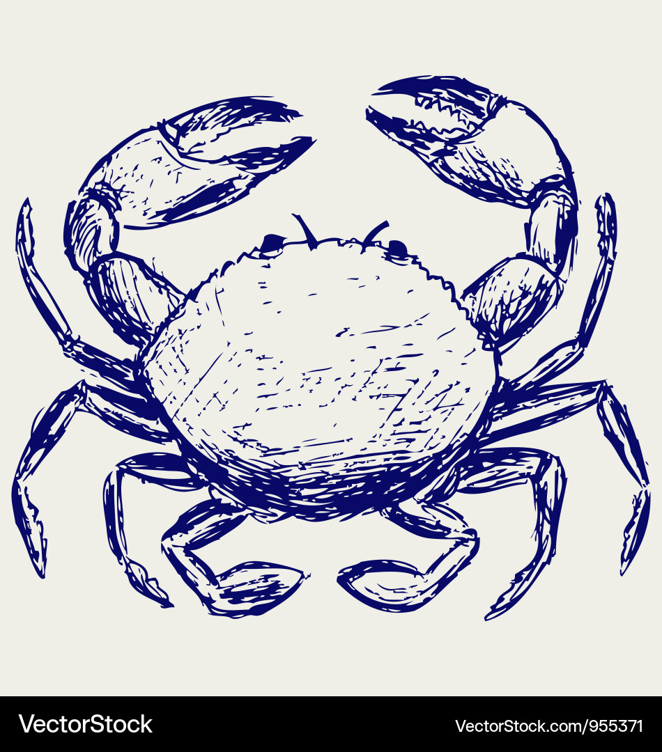 Crab Sketch - Marine Doodle vector image