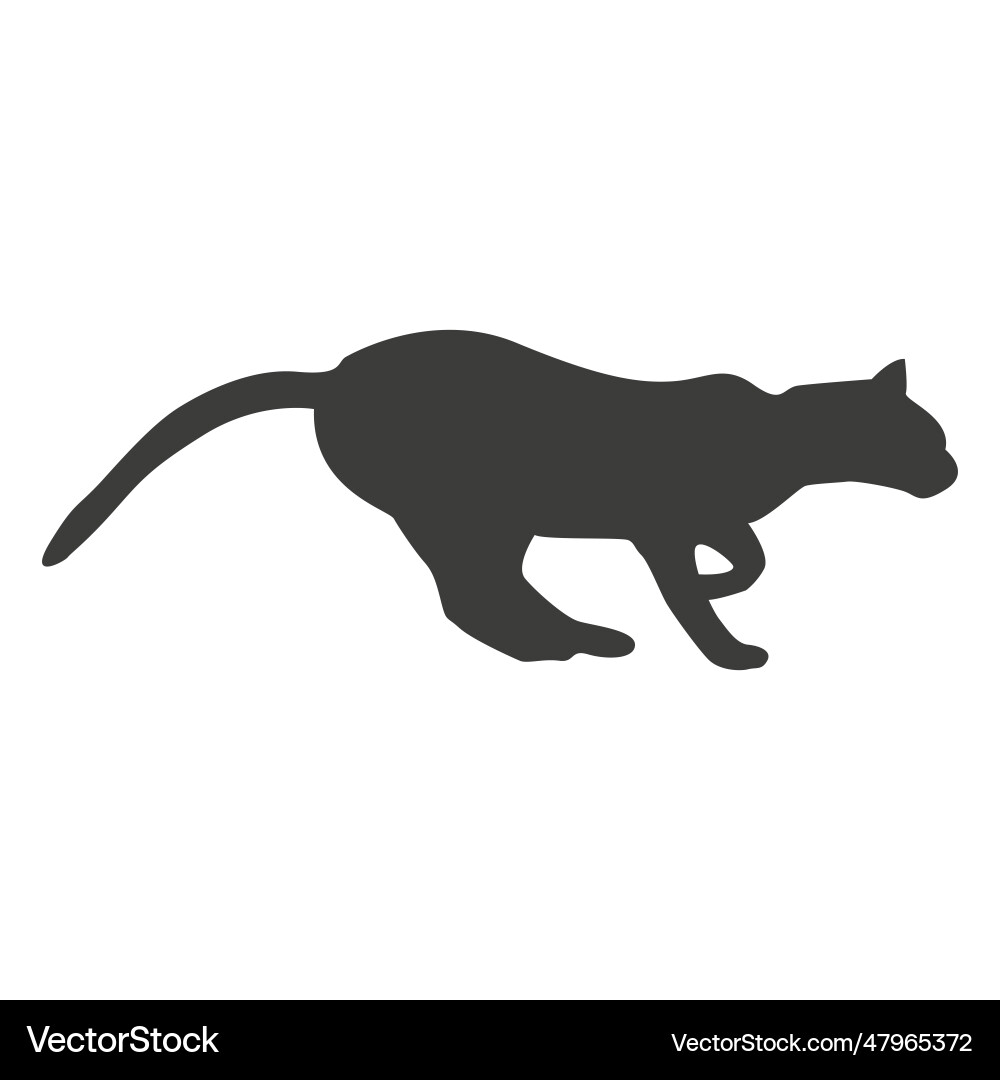 Cat running sequence 5 vector image