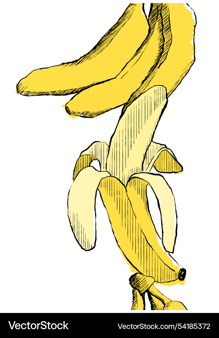 Seamless vertical border banana pattern Seamless vertical border banana pattern vector image