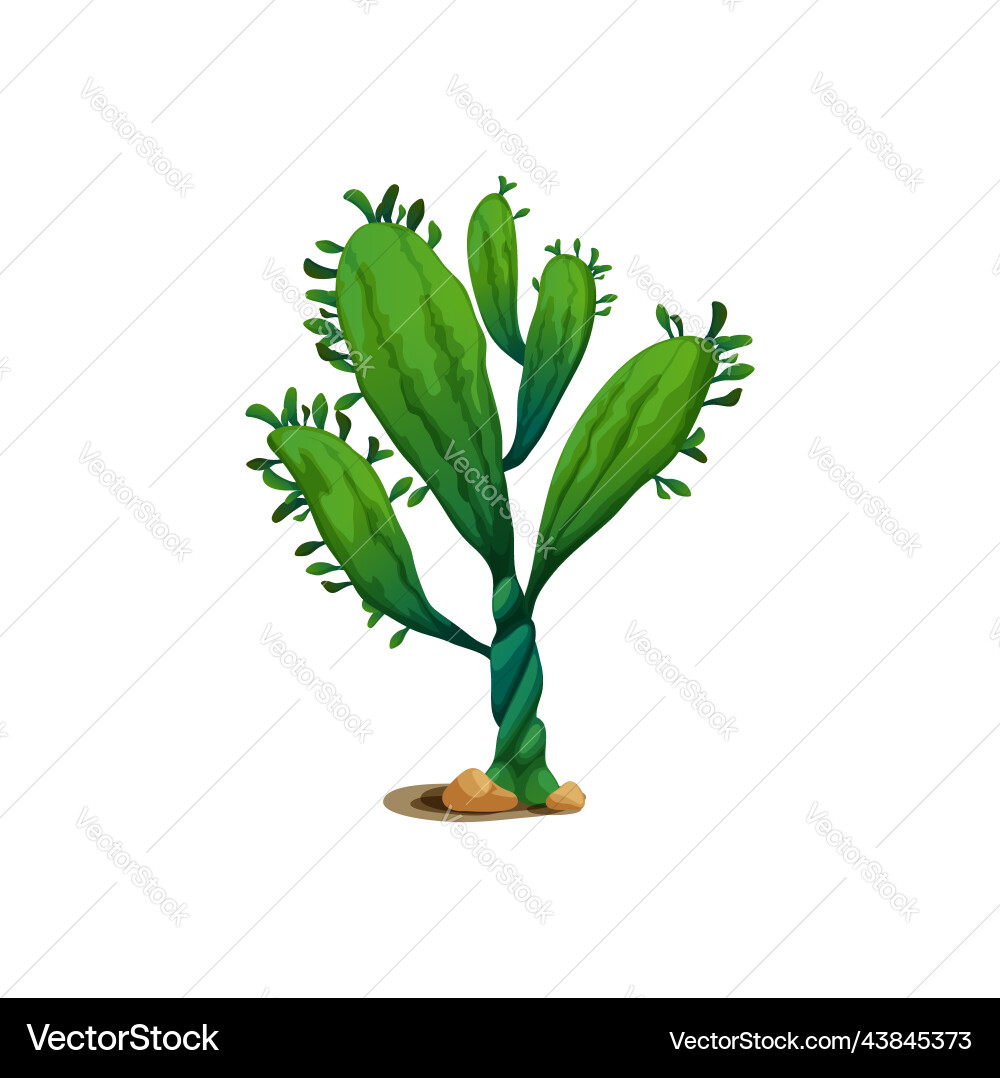 Agave vernachlässigt eine wilde Jahrhundert Pflanze sukculent cactus Agave vernachlässigt eine wilde Jahrhundert Pflanze sukculent cactus vektorbild