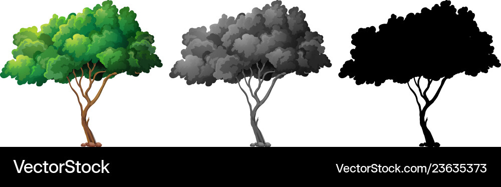 Set of tree design vector image