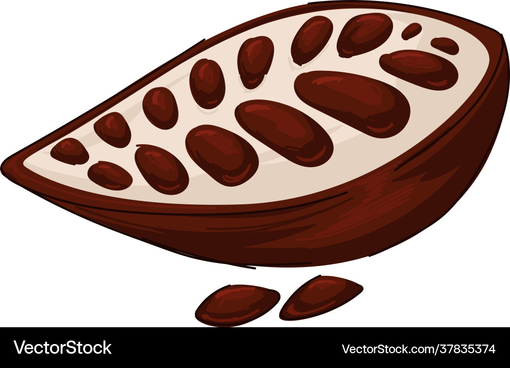 Cocoa Pod - Antike Lebensmittel Vektorbild