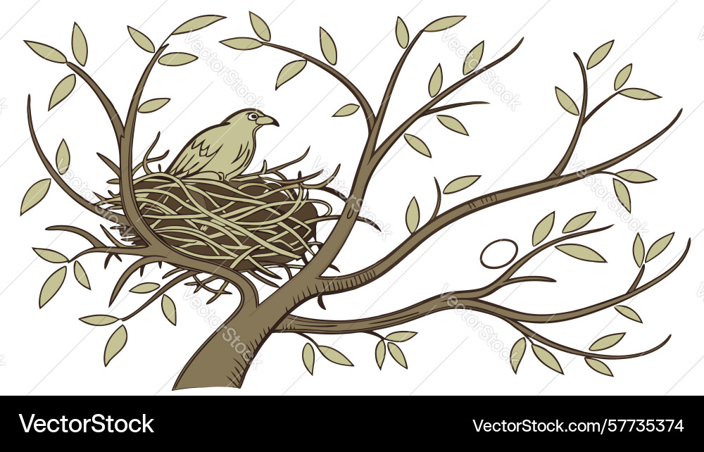 Empty birds nest in bare tree branch winter vector image