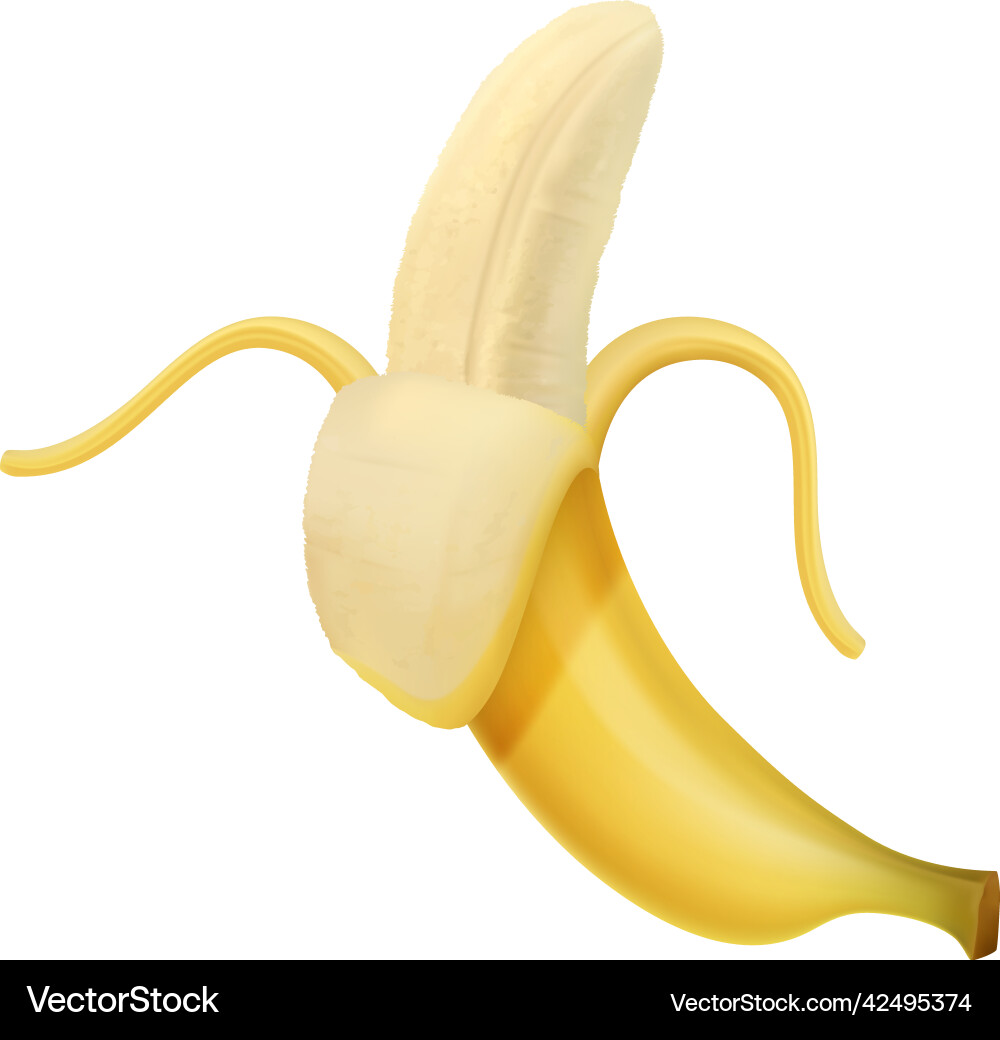 Offene Bananen Frucht Zusammensetzung Offene Bananen Frucht Zusammensetzung vektorbild