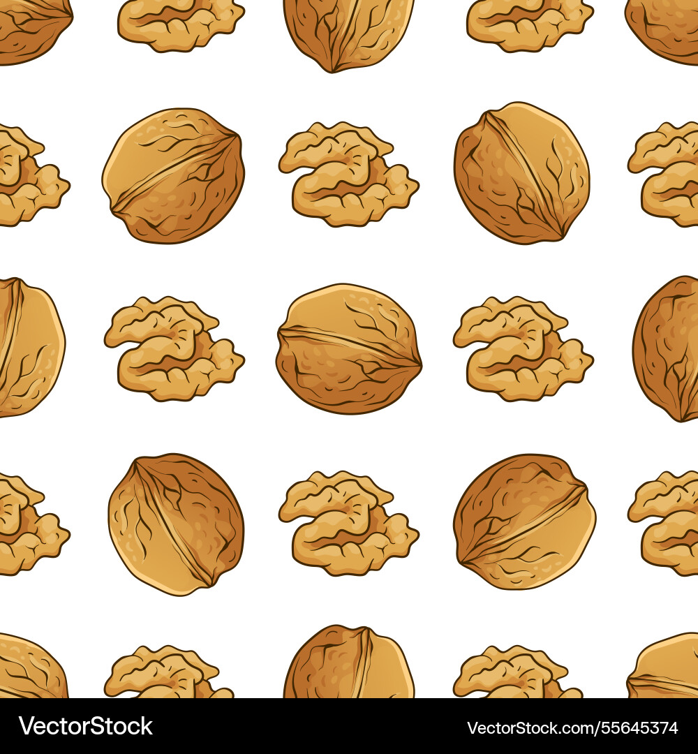 Seamless pattern with walnut on white background Seamless pattern with walnut on white background vector image