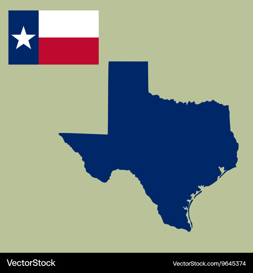 Texas Map with Flag vector image