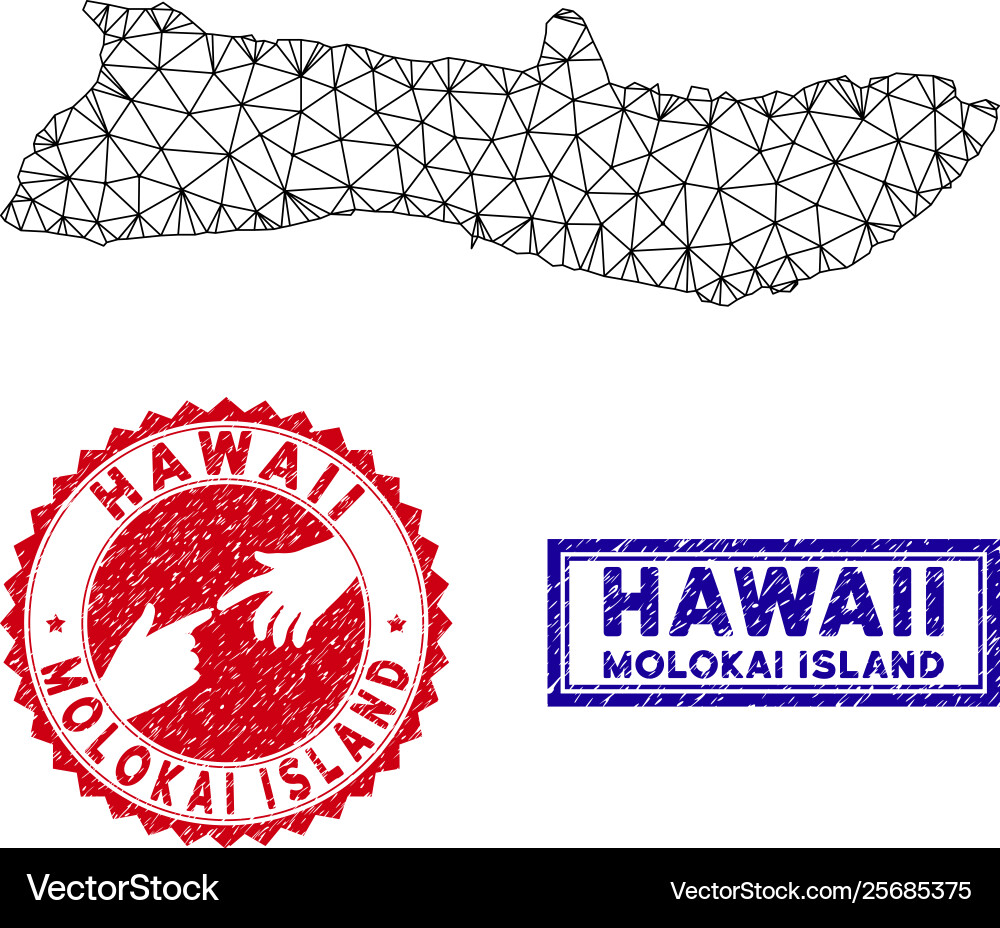 Polygonal network molokai island map and grunge Polygonal network molokai island map and grunge Vector Image