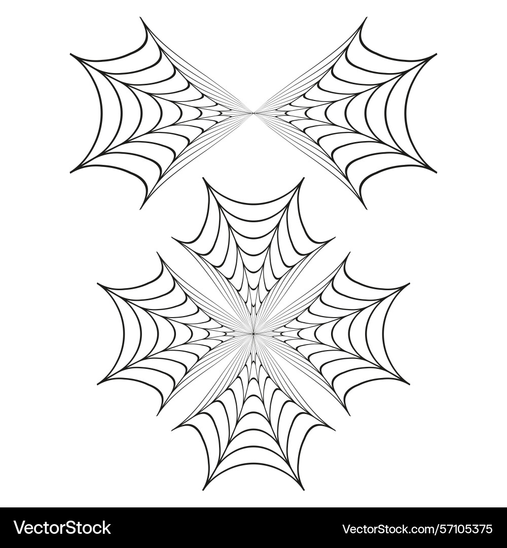 Spiderweb element geometric web shape symmetrical Vector Image