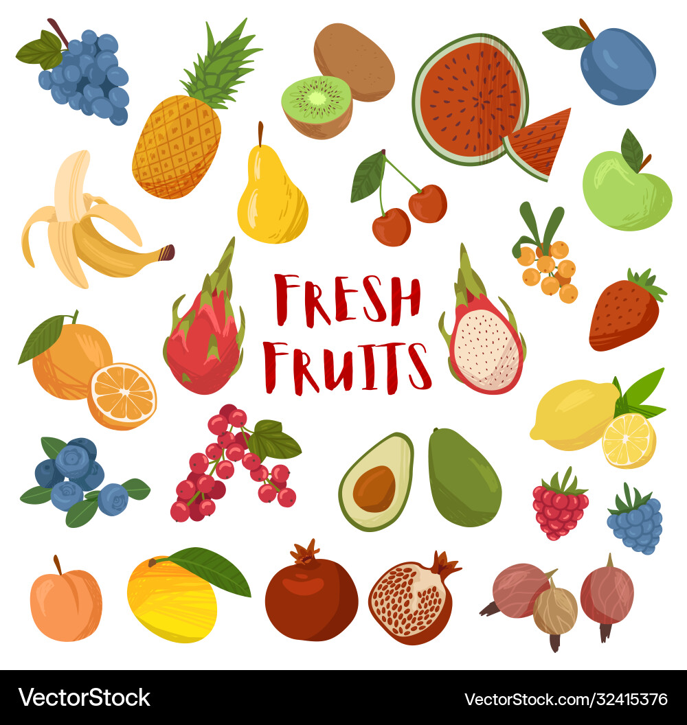 Colorful Cartoon Fruit Collection Vector Image