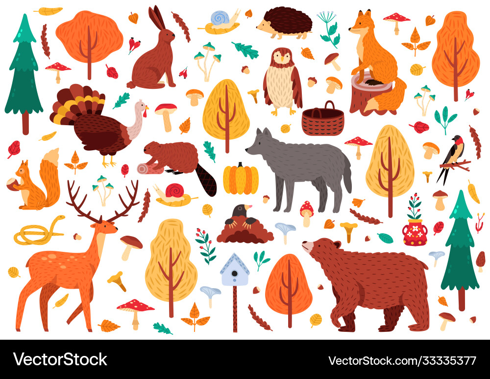 Cute Autumn Woodland Animals Vector Image