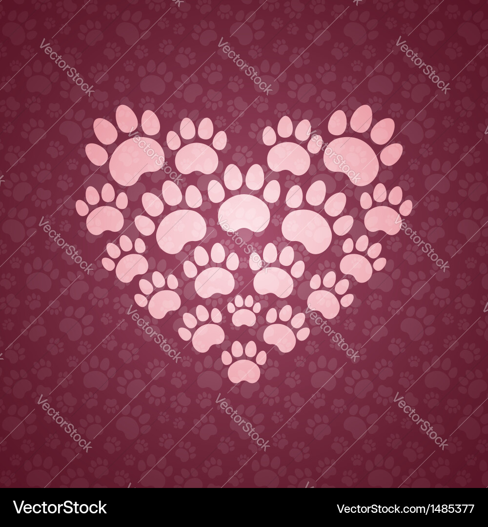 Heart Paw Print Pattern vector image