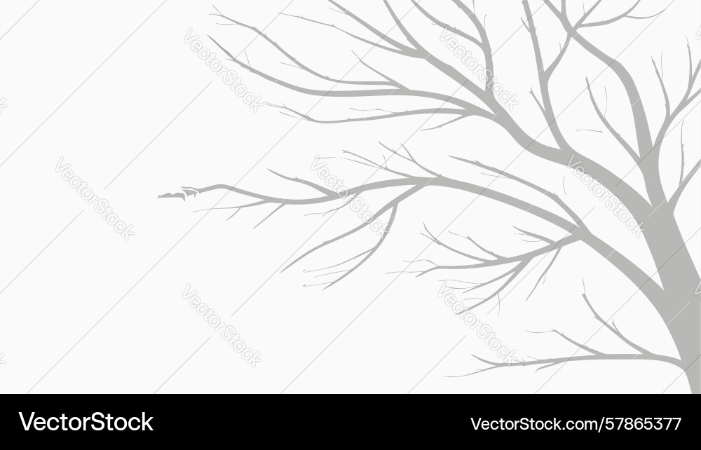 Intricate bare tree branches sketch design Vector Image