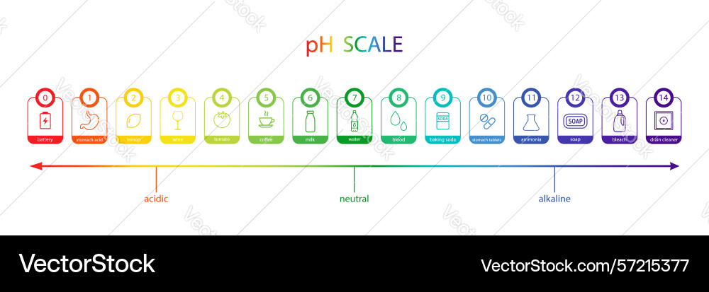 Ph scale chart indicator of indications Ph scale chart indicator of indications Vector Image