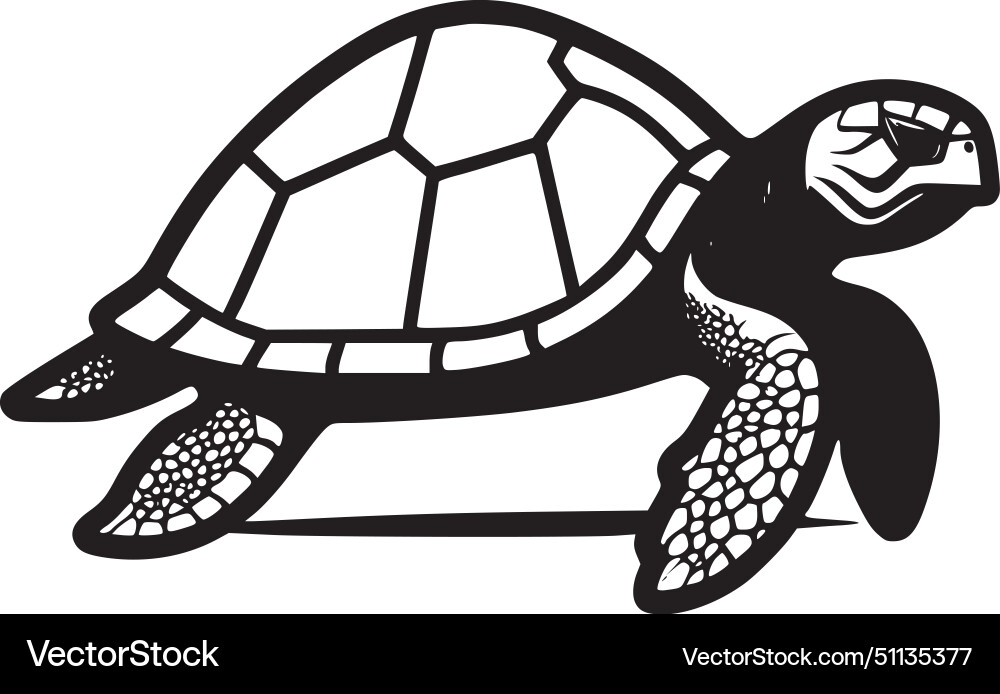 Turtle - black and white Royalty Free Vector Image