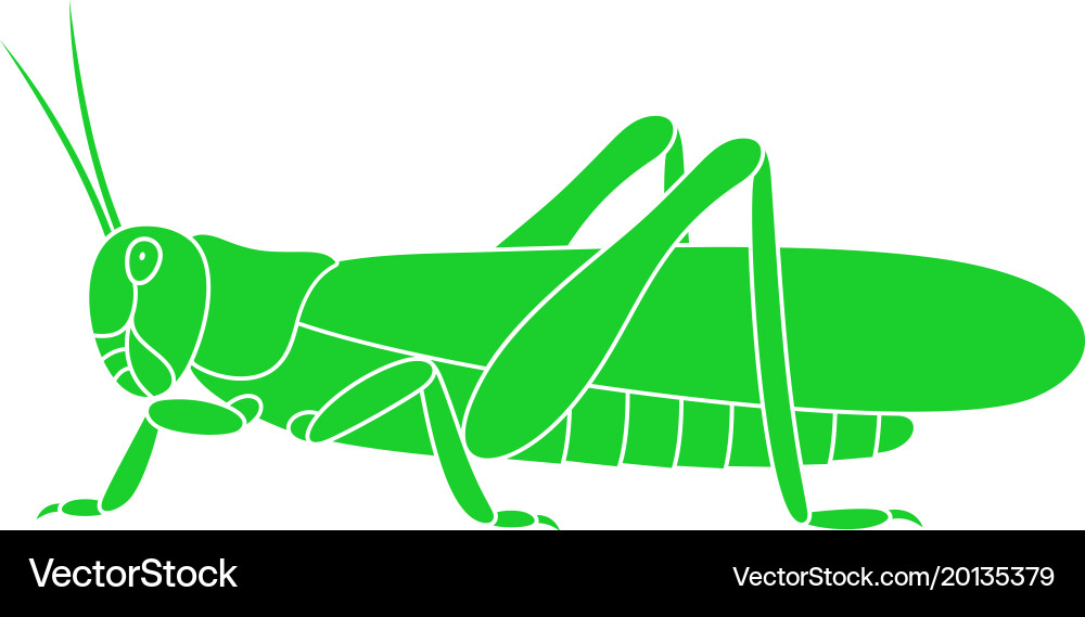 Grasshopper Royalty Free Vector Image - VectorStock