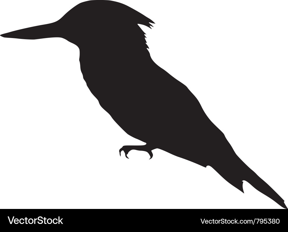 Black Kingfisher Silhouette vector image