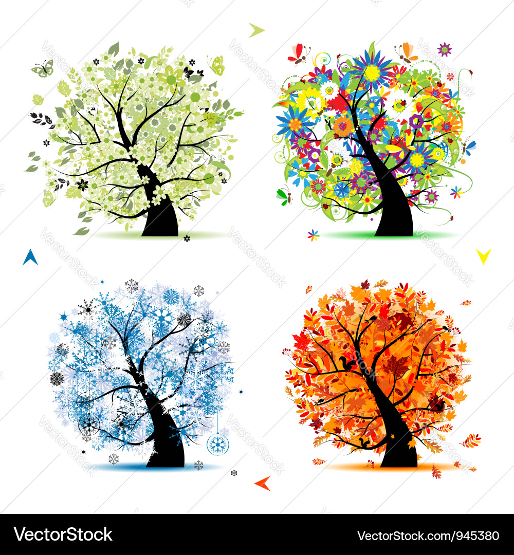 Four seasons tree - spring summer autumn winter Vector Image