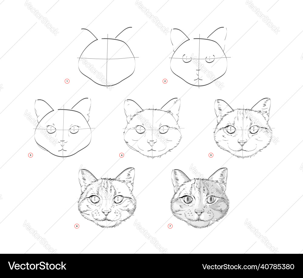 Page shows how to learn draw sketch of cats Vector Image