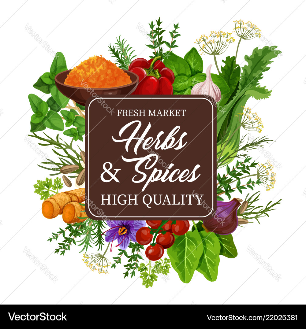 Herb & Gewürzsammlung Vektorbild