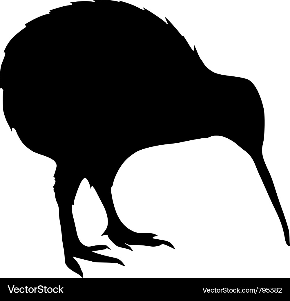 Black Kiwi Silhouette vector image