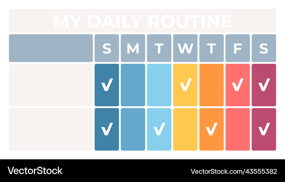 Business process chart with 2 steps options Vector Image