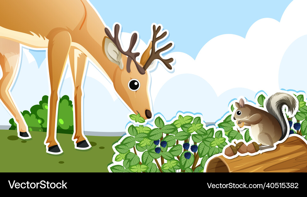 Thumbnail design with deer and squirrel Vector Image