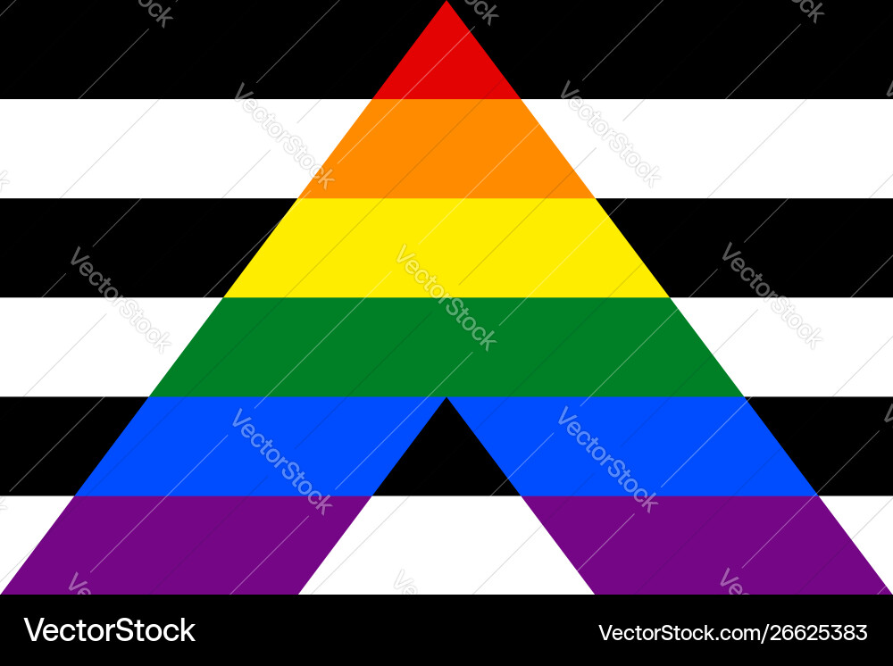 Flag rectangular shape icon on white background Flag rectangular shape icon on white background vector image