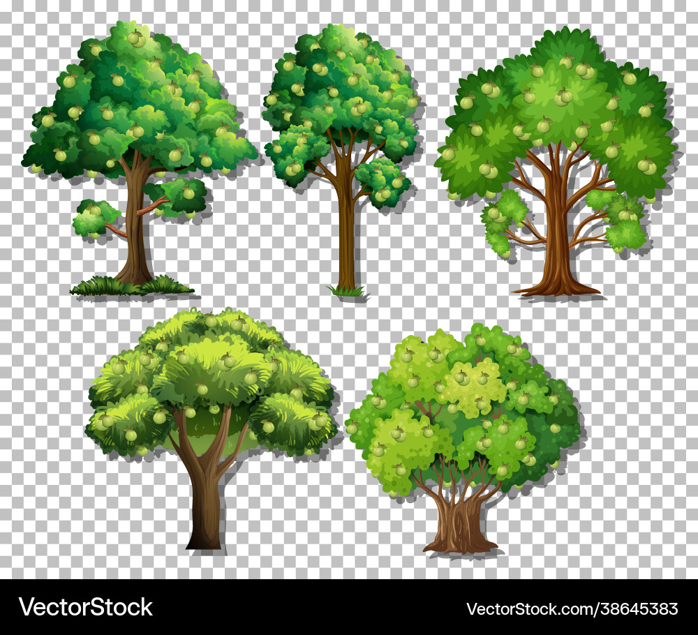 Set different trees on transparent background Set different trees on transparent background vector image