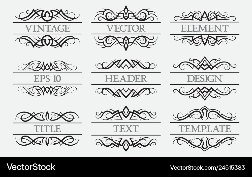 Vintage elements with a header field set Vector Image