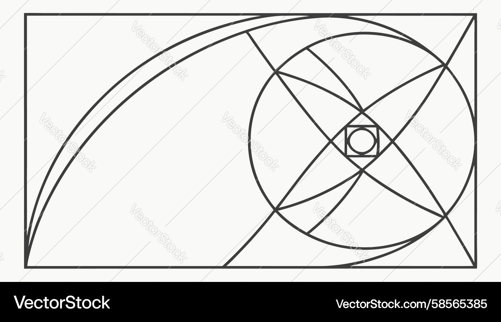 Fibonacci Spiral Geometry Vector Image